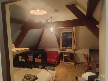 Habitación privada en Keizerstraat, imagen 2 de 10