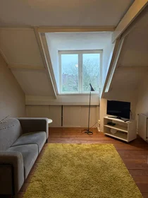 Private room at Groesbeeksedwarsweg, image 5 of 5