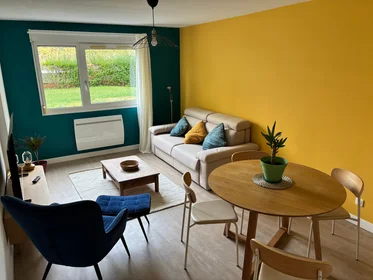 Apartamento inteiro em Rue Léo et Maurice Trouilhet, imagem 1 de 10