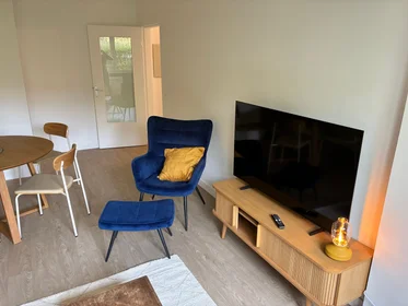 Appartamento intero in Rue Léo et Maurice Trouilhet, immagine 2 di 10