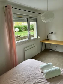 Appartamento intero in Rue Léo et Maurice Trouilhet, immagine 6 di 10