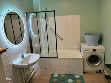 Appartamento intero in Rue Léo et Maurice Trouilhet, immagine 8 di 10