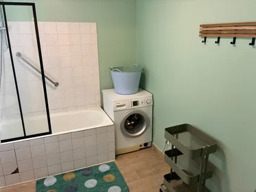 Appartamento intero in Rue Léo et Maurice Trouilhet, immagine 9 di 10