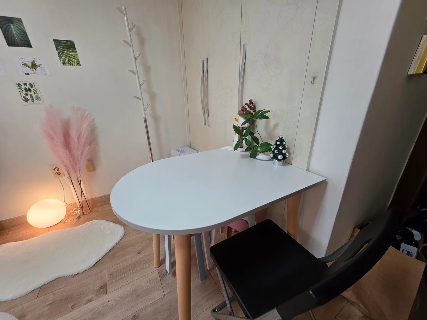 Estudio compacto ideal para estudiantes en 