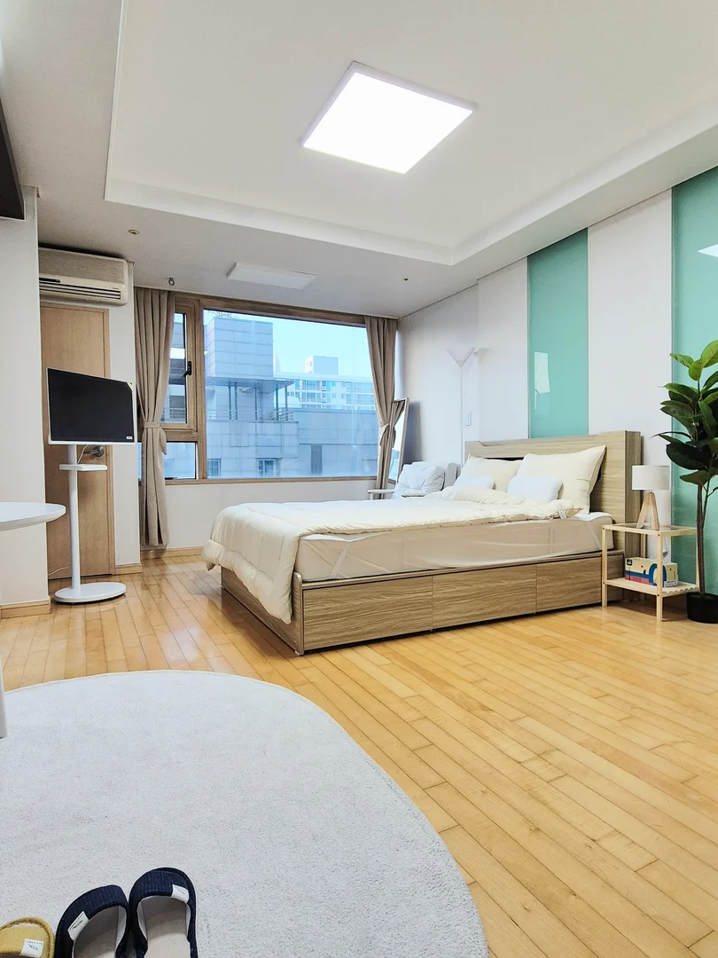 Estudio compacto ideal para estudiantes en 