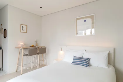Estupendo estudio en {area}