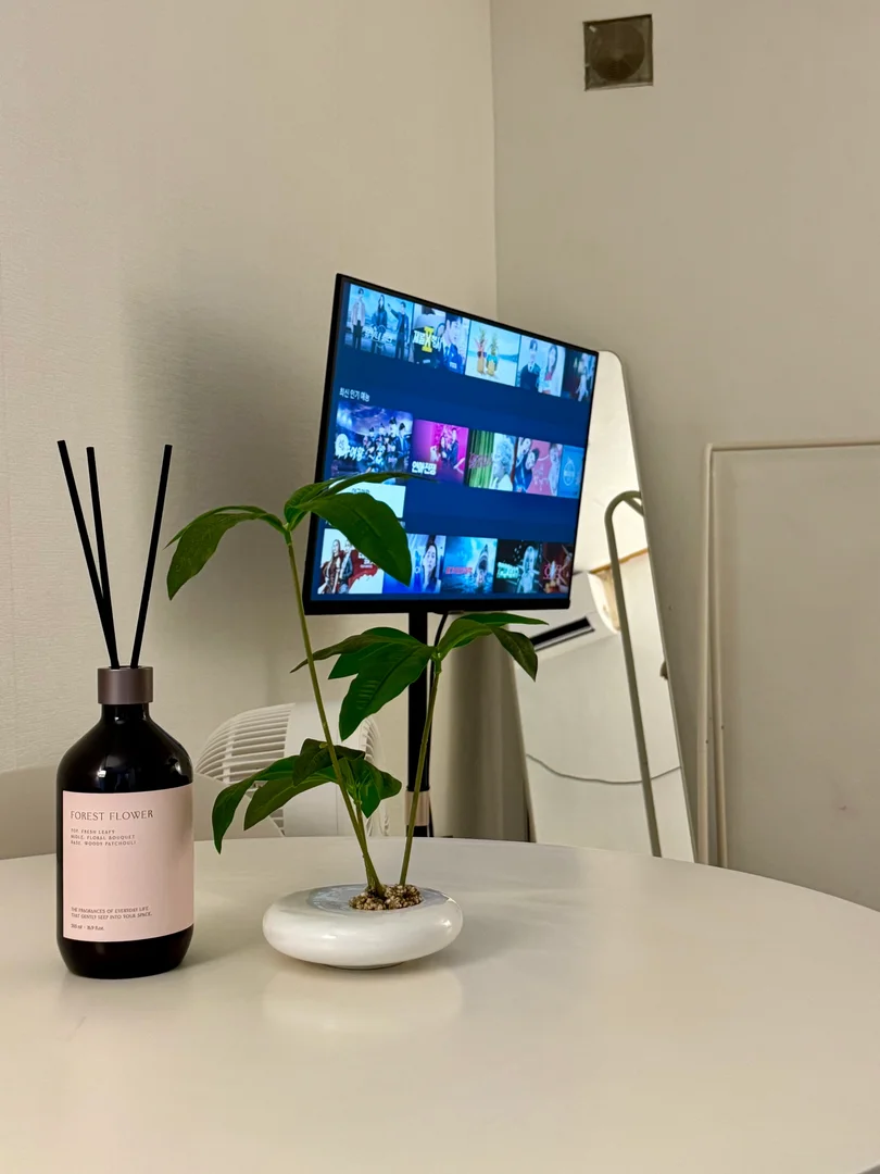 Práctico estudio en  diseñado para las necesidades de los estudiantes