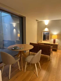 Modern and bright flat in {area}