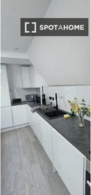 Entire apartment at April Street, image 11 of 16