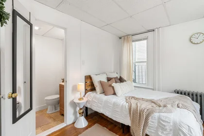 Monolocale in residence in 928, Dorchester Ave., Unit 1, Dorchester, Boston, MA, 02125, immagine 11 di 16