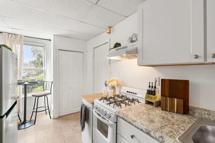 Monolocale in residence in 928, Dorchester Ave., Unit 1, Dorchester, Boston, MA, 02125, immagine 3 di 16