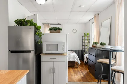Monolocale in residence in 928, Dorchester Ave., Unit 1, Dorchester, Boston, MA, 02125, immagine 6 di 16