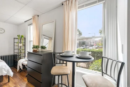 Monolocale in residence in 928, Dorchester Ave., Unit 1, Dorchester, Boston, MA, 02125, immagine 7 di 16