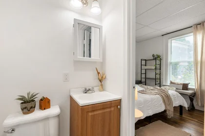 Monolocale in residence in 928, Dorchester Ave., Unit 1, Dorchester, Boston, MA, 02125, immagine 8 di 16