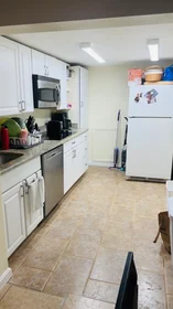 Appartamento intero in residence in 48, Trapelo, Unit 1A, Brighton, Boston, MA, 02135, immagine 16 di 16