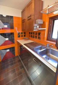 Chambre privée à Via Indipendenza, image 7 de 15