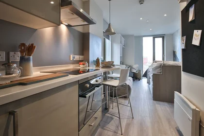Gesamte Unterkunft im Wohnheim in der 6 Fox St, Birmingham B5 5AD, United Kingdom, bild 15 von 24