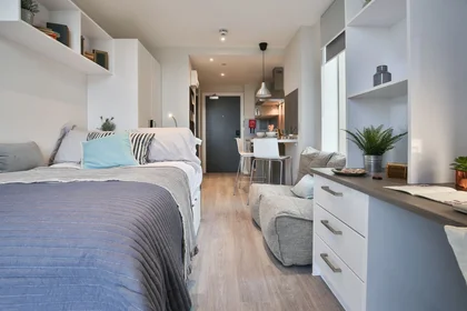 Gesamte Unterkunft im Wohnheim in der 6 Fox St, Birmingham B5 5AD, United Kingdom, bild 16 von 24