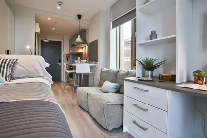 Gesamte Unterkunft im Wohnheim in der 6 Fox St, Birmingham B5 5AD, United Kingdom, bild 17 von 24