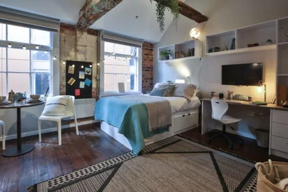 Gesamte Unterkunft im Wohnheim in der 6 Fox St, Birmingham B5 5AD, United Kingdom, bild 19 von 24