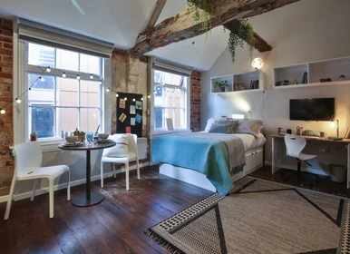 Gesamte Unterkunft im Wohnheim in der 6 Fox St, Birmingham B5 5AD, United Kingdom, bild 3 von 24