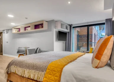 Entire apartment in residence at IconInc, Glassworks, Cardigan Road, Leeds LS6 1LF, image 4 of 49