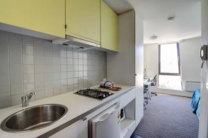 Estudio en residencia en 2 Eastern Pl Hawthorn VIC 3122 Australia, imagen 3 de 12