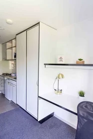 Alojamiento entero en residencia en 1728 Dandenong Rd, Clayton VIC 3168, Australia, imagen 9 de 17