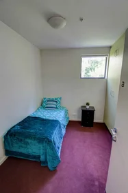 Alojamiento entero en residencia en 60 Waverly Road, Malvern East, VIC 3145, imagen 2 de 20