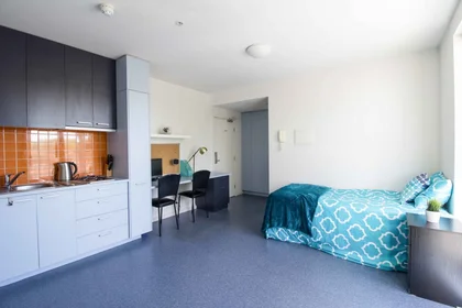 Alojamiento entero en residencia en 60 Waverly Road, Malvern East, VIC 3145, imagen 16 de 20