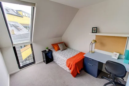 Alojamiento entero en residencia en 60 Waverly Road, Malvern East, VIC 3145, imagen 18 de 20