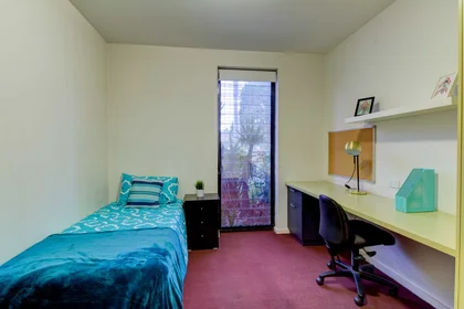 Alojamiento entero en residencia en 60 Waverly Road, Malvern East, VIC 3145, imagen 19 de 20