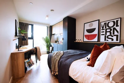 Estudio en residencia en 8 Nobel Wy., Manchester M1 7FA, United Kingdom     , imagen 1 de 20