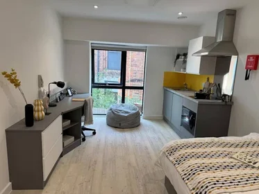 Monolocale in residence in 1 Hockley, Nottingham NG1 1FH, United Kingdom, immagine 2 di 22