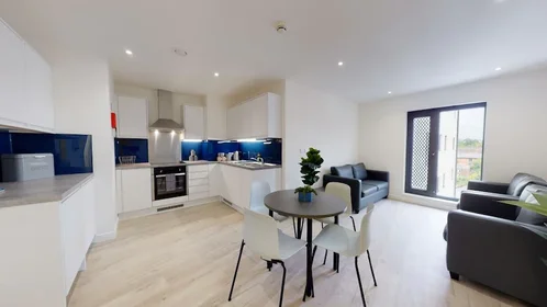 Monolocale in residence in 1 Hockley, Nottingham NG1 1FH, United Kingdom, immagine 20 di 22