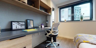 Private room in residence at 577 N End Rd, London, Wembley HA9 0QJ, United Kingdom , image 15 of 20
