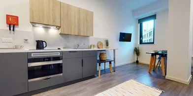 Private room in residence at 577 N End Rd, London, Wembley HA9 0QJ, United Kingdom , image 17 of 20