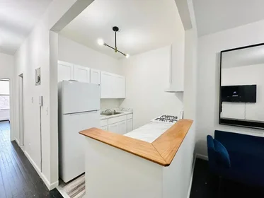 Appartamento intero in residence in 810 Rogers Avenue,  2FL, Prospect Lefferts Gardens, Brooklyn, NY, 11226, immagine 10 di 11