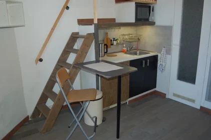 Gesamte Unterkunft in der Rue Moris, Haut Saint-Gilles, bild 7 von 10