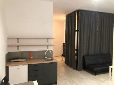 Appartamento intero in aleja Przyjaźni, Gliwice, immagine 1 di 8