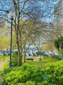 Całe miejsce Rua Doutor João de Barros, obraz 25 33