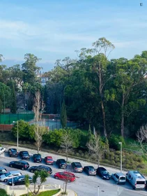 Całe miejsce Rua Doutor João de Barros, obraz 33 33