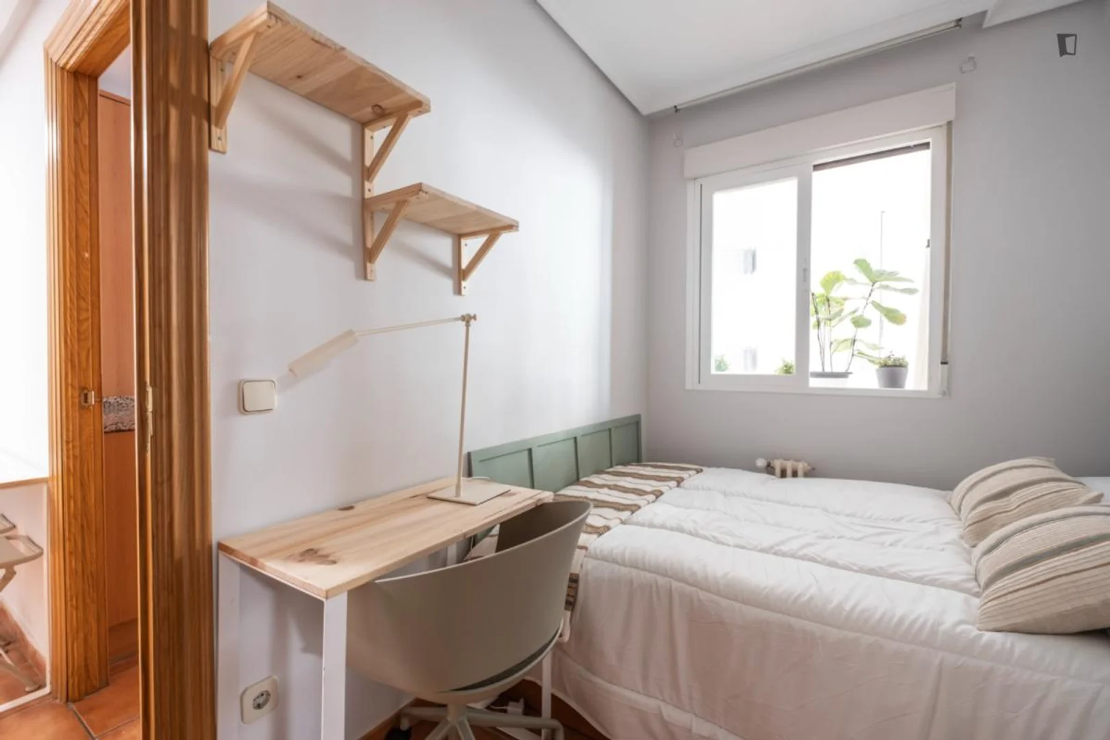 Affordable room for students with ample lighting in