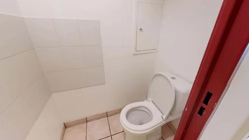 Prywatny pokój 160 Av. Paul Santy, 69008 Lyon, France, obraz 11 15