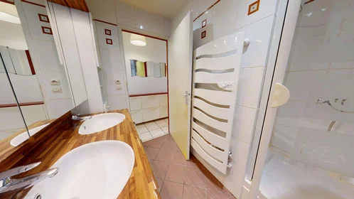 Prywatny pokój 160 Av. Paul Santy, 69008 Lyon, France, obraz 14 15