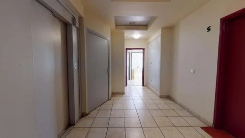 Prywatny pokój 160 Av. Paul Santy, 69008 Lyon, France, obraz 5 15