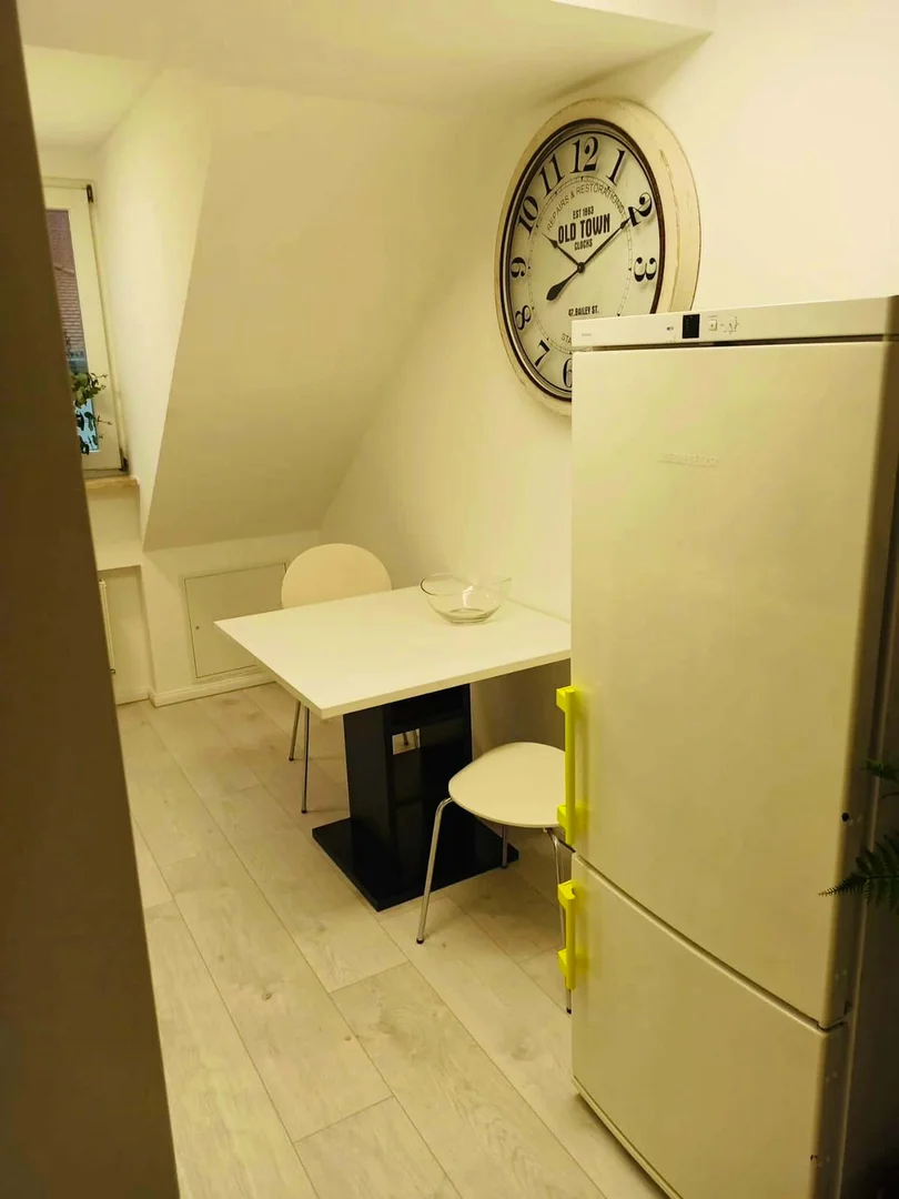 Camera per studenti in  con area studio e servizi in comune