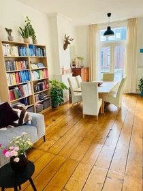 Chambre privée à Oudwijkerveldstraat, image 5 de 10