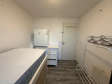 Chambre privée à Amsterdamsestraatweg, image 1 de 9