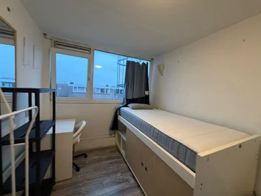Chambre privée à Amsterdamsestraatweg, image 2 de 9
